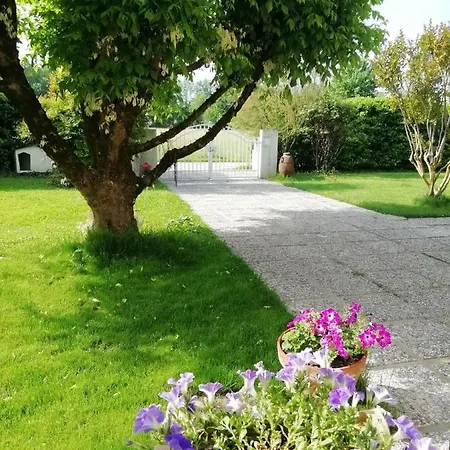 بيت ضيافة Due Querce 3*